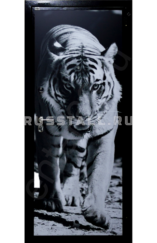 Стальная входная дверь бизнес класса RS76