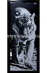 Металлическая дверь с фотопечатью RS76 - Изображение